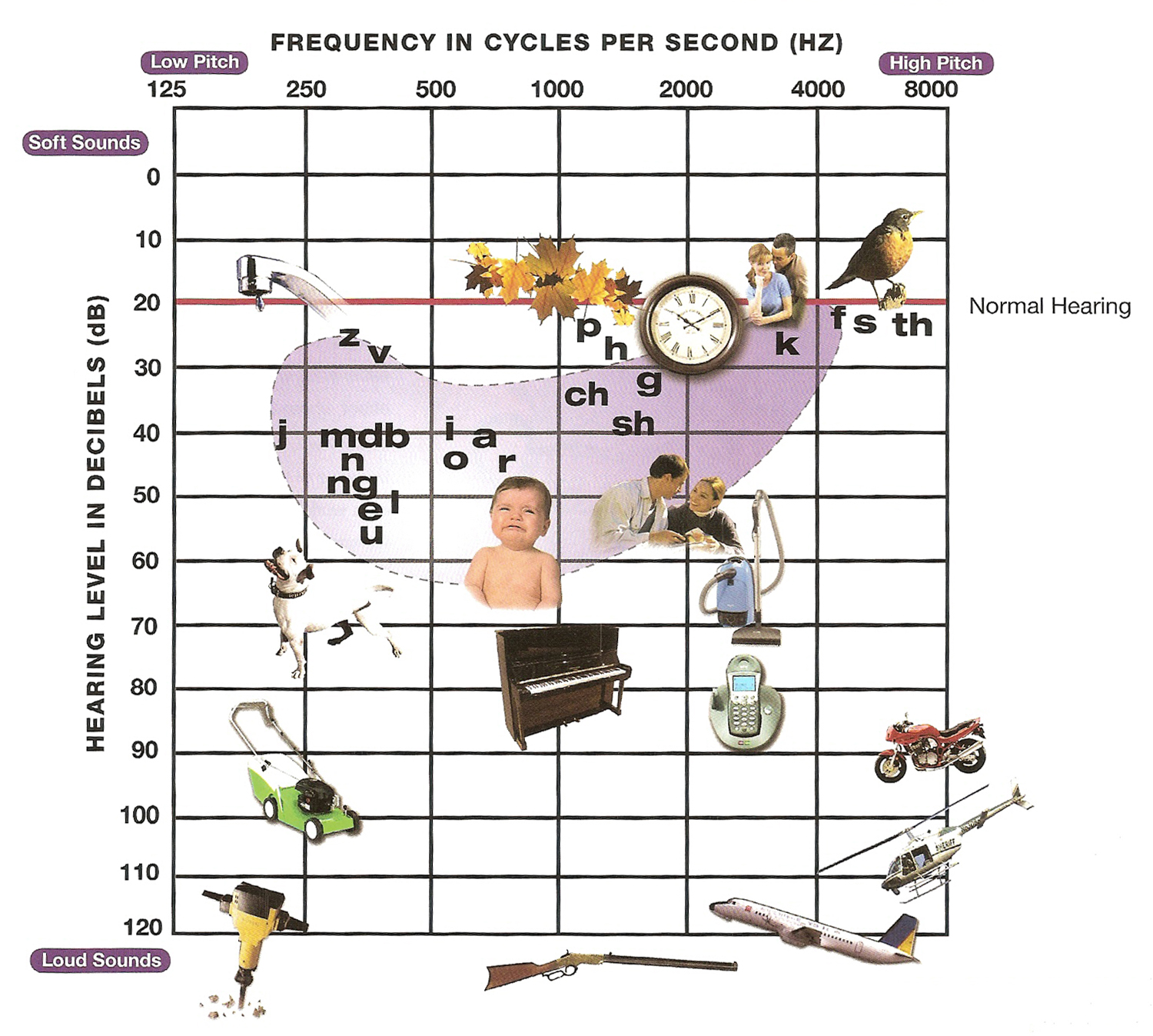 Hearing Frequency Chart